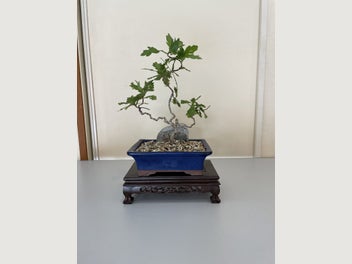 Image 1 of 6