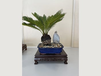 Image 1 of 5
