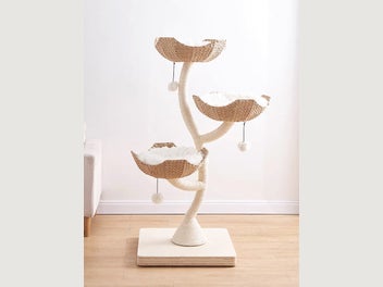 Image 1 of 8