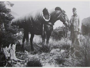 Image 1 of 8