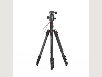 Image 1 of 11