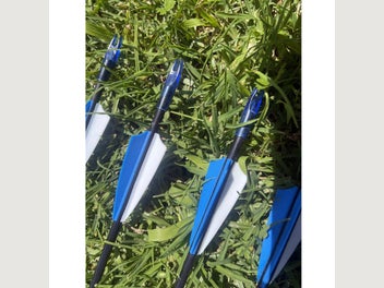 Image 1 of 7