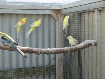 Image 1 of 3