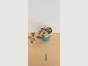 Image 1 of 20