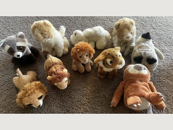 Image 1 of 6