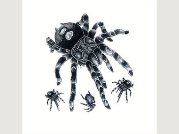 Image 1 of 5