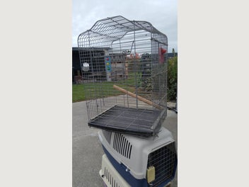 Image 1 of 2