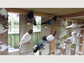 Image 1 of 8