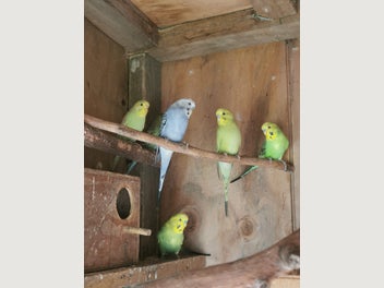 Image 1 of 18