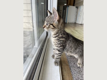 Image 1 of 5