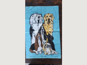 Image 1 of 11