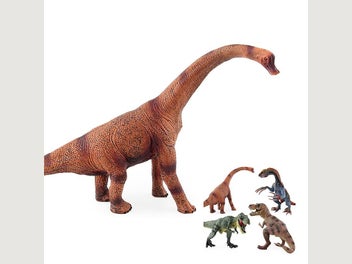 Image 1 of 5