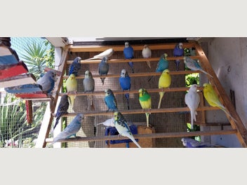 Image 1 of 11