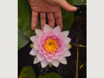 Image 1 of 7