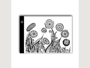 Image 1 of 7