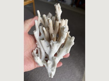 Image 1 of 7
