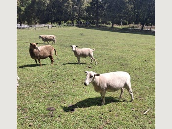 Image 1 of 6