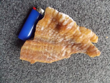 Image 1 of 12