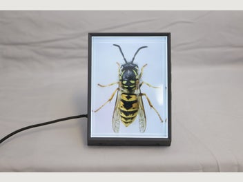 Image 1 of 6