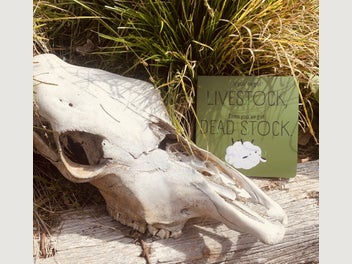 Image 1 of 6