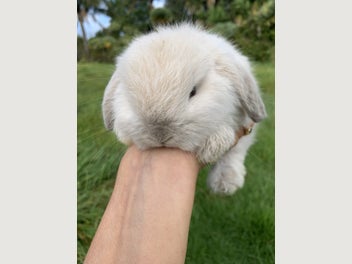 Image 1 of 8