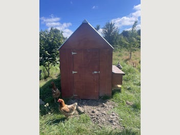 Image 1 of 6