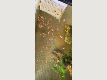 Image 1 of 11