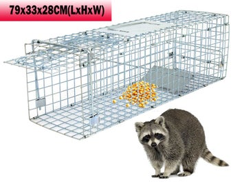 Image 1 of 11