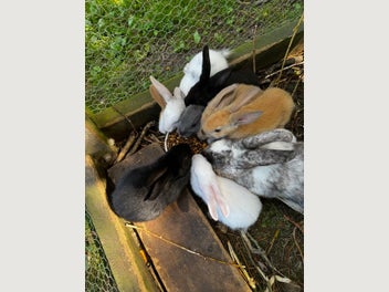 Image 1 of 11