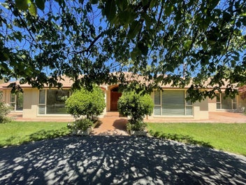 Image 1 of 19