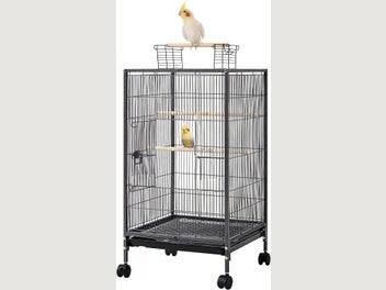 Image 1 of 7