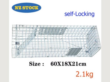 Image 1 of 7