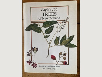 Image 1 of 7