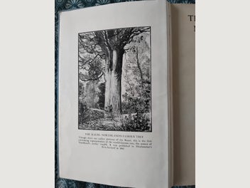 Image 1 of 15