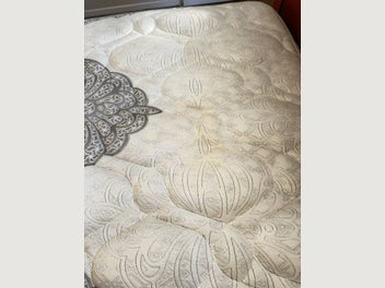 Image 1 of 11