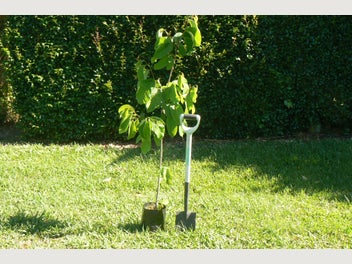 Image 1 of 9