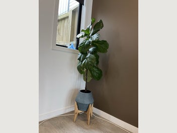 Image 1 of 6