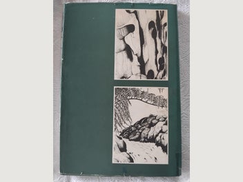 Image 1 of 14