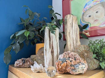 Image 1 of 7