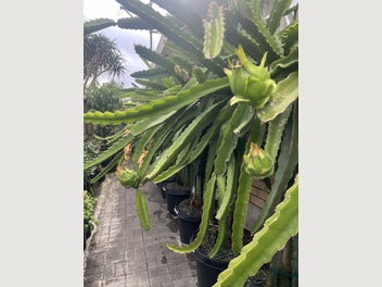 Image 1 of 20