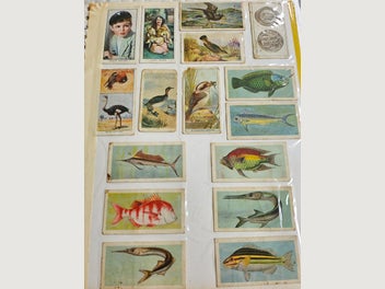 Image 1 of 14