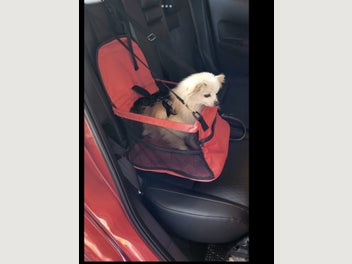 Image 1 of 12