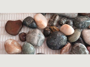 Image 1 of 7