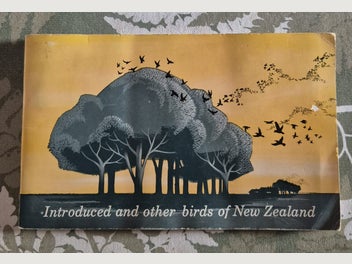 Image 1 of 3
