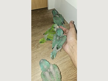 Image 1 of 6