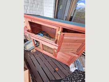 Image 1 of 12