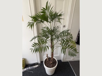 Image 1 of 15