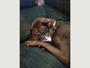 Image 1 of 4