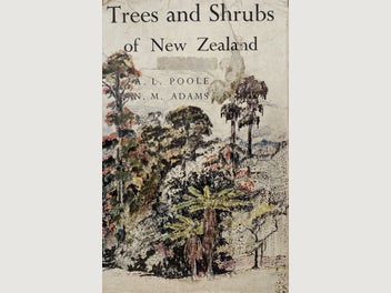 Image 1 of 8