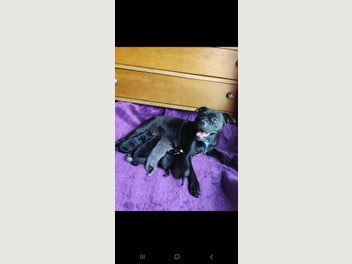 Image 1 of 7